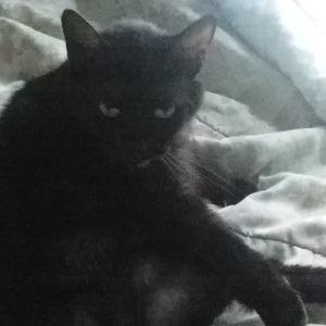 Meet your Posher, Joshua